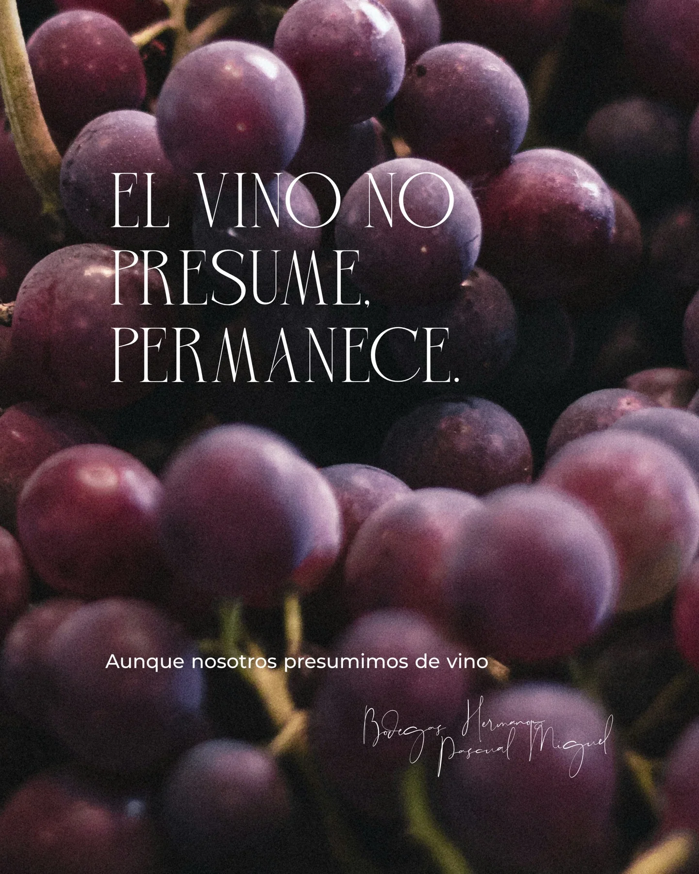 Bodegas HPM Social Media